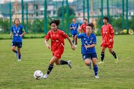 2026年世界杯公共卫生旅行措施解析